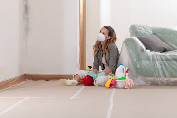 Reliable Mold Remediation contractor in Westfield, MA by WQB Mold Removal